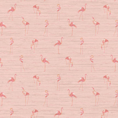 A Flock of Flamingos Wallpaper