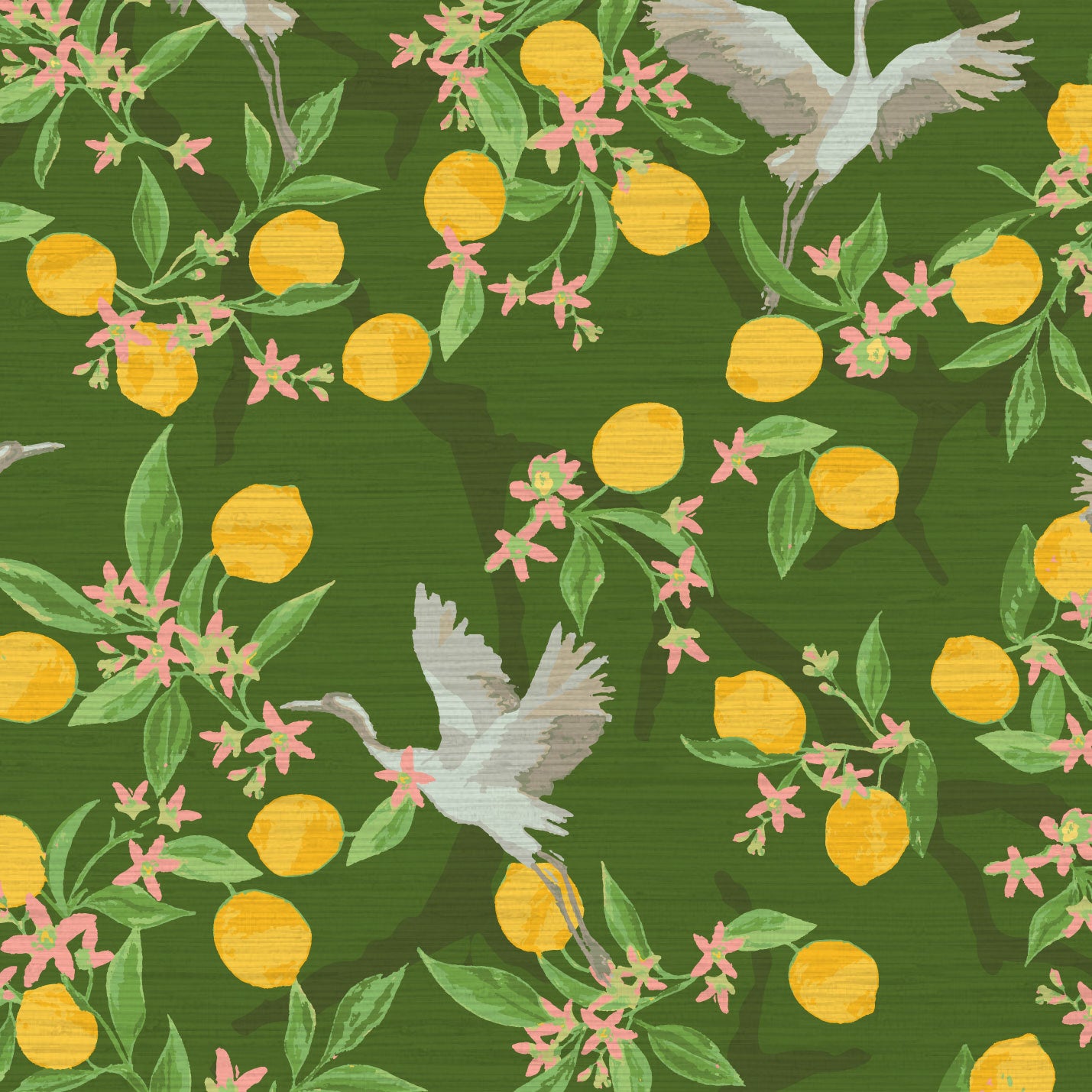 Angel of the Morning Bird Wallpaper