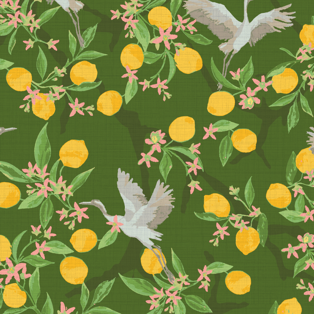 Angel of the Morning Bird Wallpaper