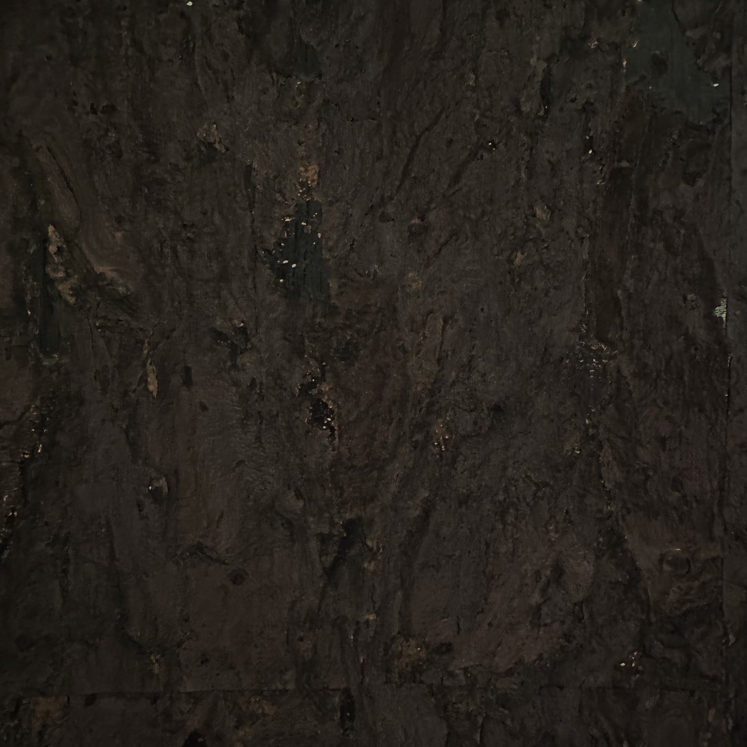 Natural Textured Eco-Friendly Non-toxic High-quality  Sustainable practices Sustainability Interior Design Wall covering Bold Wallpaper Custom Tailor-made Retro chic cork nature luxury metallic shiny wood timeless coastal vacation interior design grain high-end dark brown black