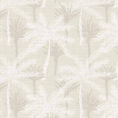 Pine Valley Palm Tree Wallpaper