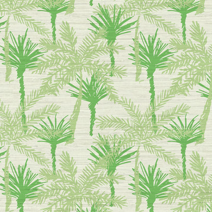 Pine Valley Palm Tree Wallpaper