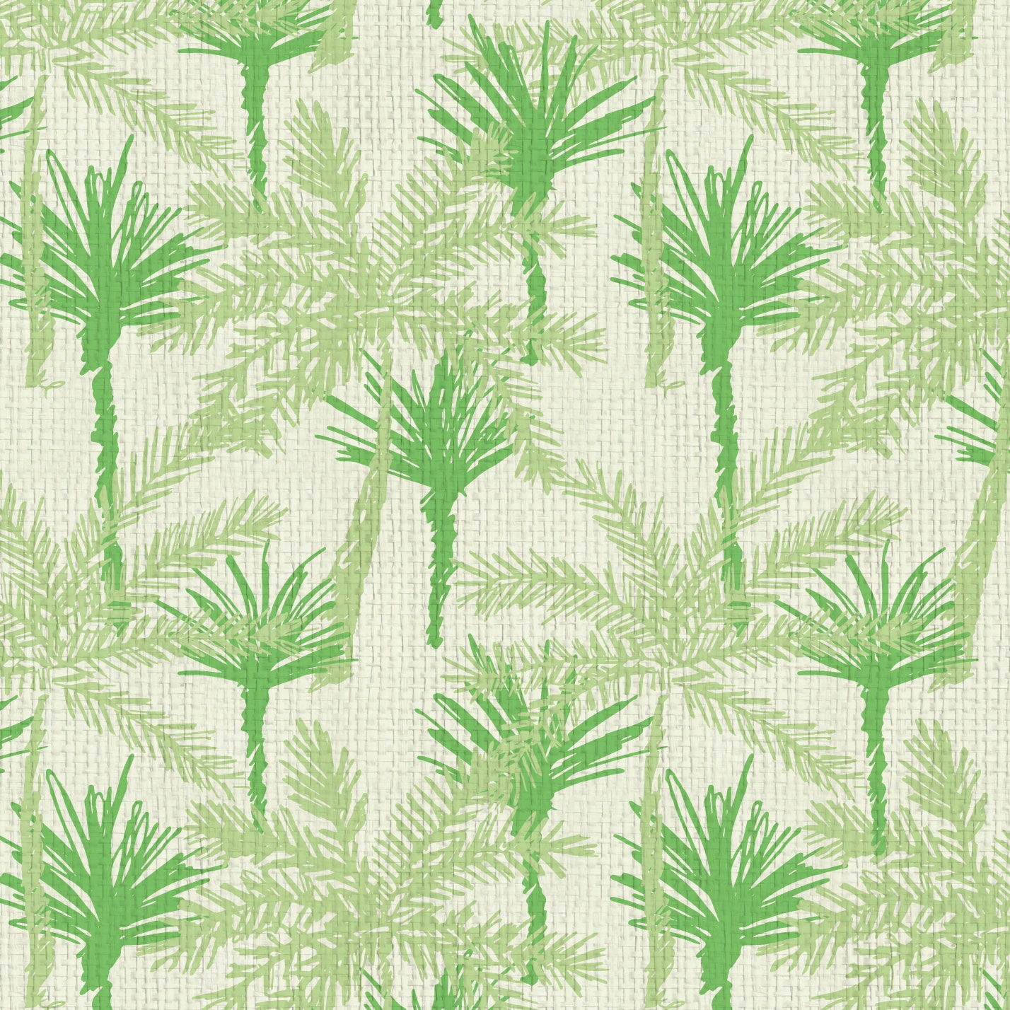 Pine Valley Palm Tree Wallpaper