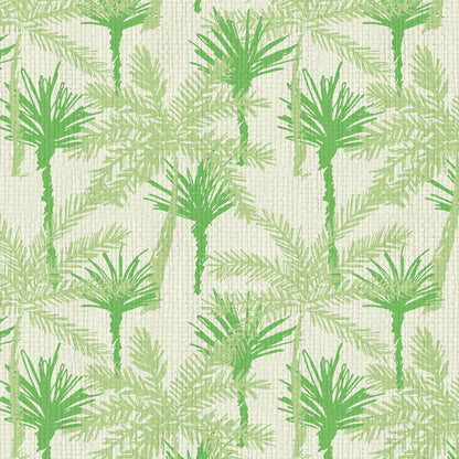Pine Valley Palm Tree Wallpaper