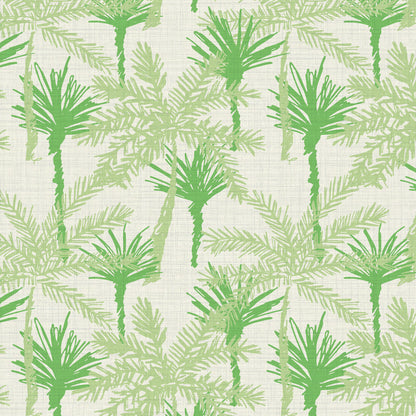 Pine Valley Palm Tree Wallpaper