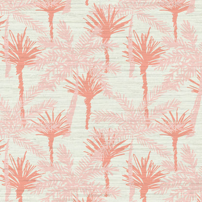 Pine Valley Palm Tree Wallpaper