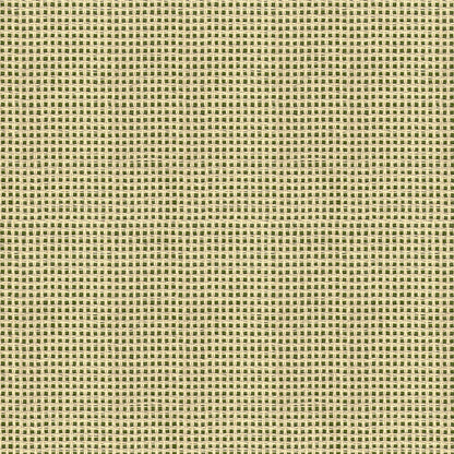 Wallpaper 
installation 
Grasscloth
Textured 
Grass cloth 
Tropical Decor
Retro chic
Decoration
Custom design
Interior designer
Beach decor
Beach house 
Coastal
Garden
Botanical 
Renovation 
paperweave 
paper weave 
neutral
custom
luxury
eco-friendly
all natural 
sustainable design
high-end
designer
premium
luxury homes
basketweave basket weave tan green moss neutral sage