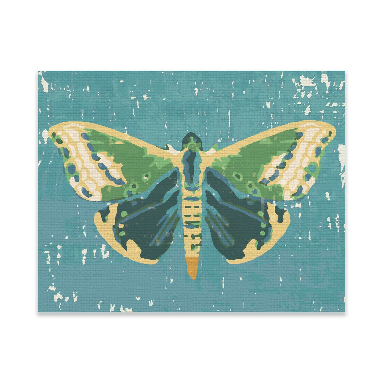 Social Butterfly Fine Art Print